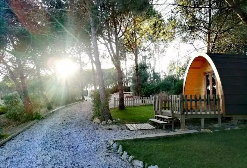 ペンション Glamping Sintra