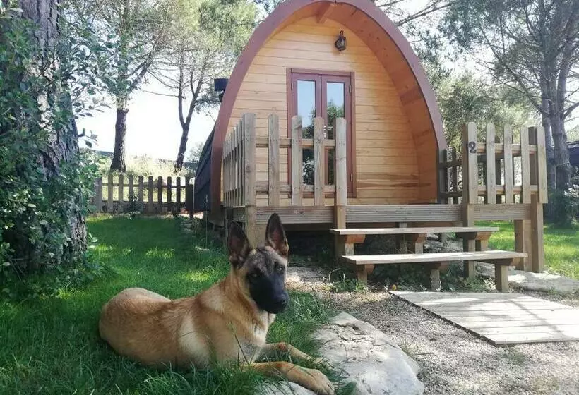 ペンション Glamping Sintra