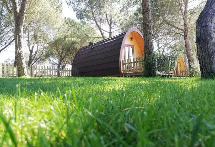 ペンション Glamping Sintra