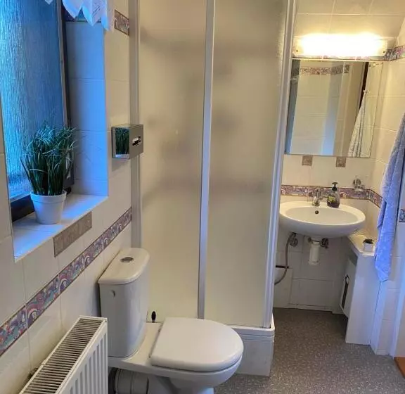 ペンション Penzion U Zámeckého Parku