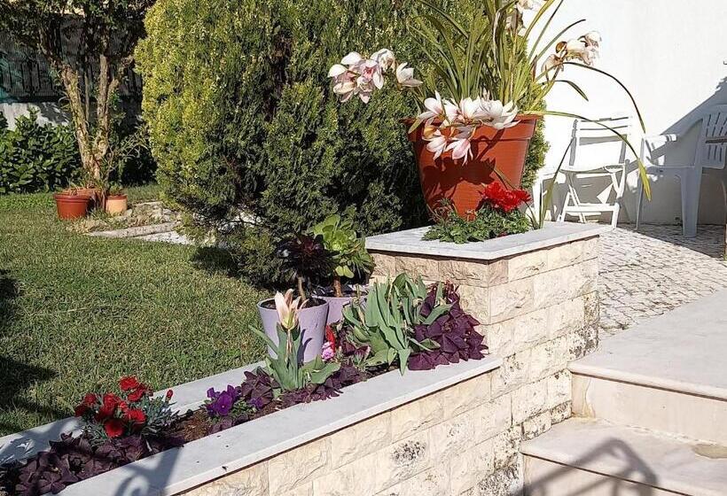 Пансион Telesico Residencia