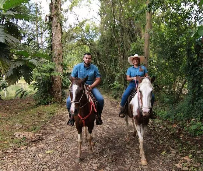 Chachagua Rainforest Hotel & Hot Springs