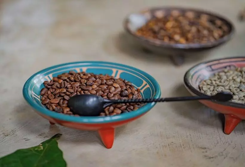 Chachagua Rainforest Hotel & Hot Springs