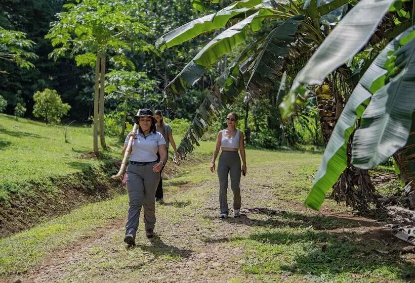 Chachagua Rainforest Hotel & Hot Springs