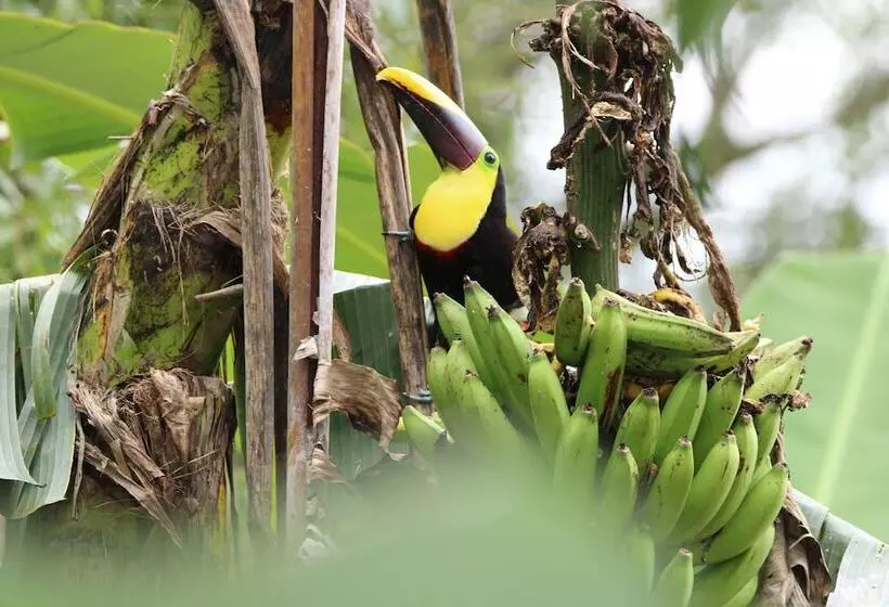 Chachagua Rainforest Hotel & Hot Springs