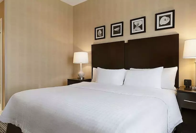 Homewood Suites By Hilton Newtown   Langhorne, Pa
