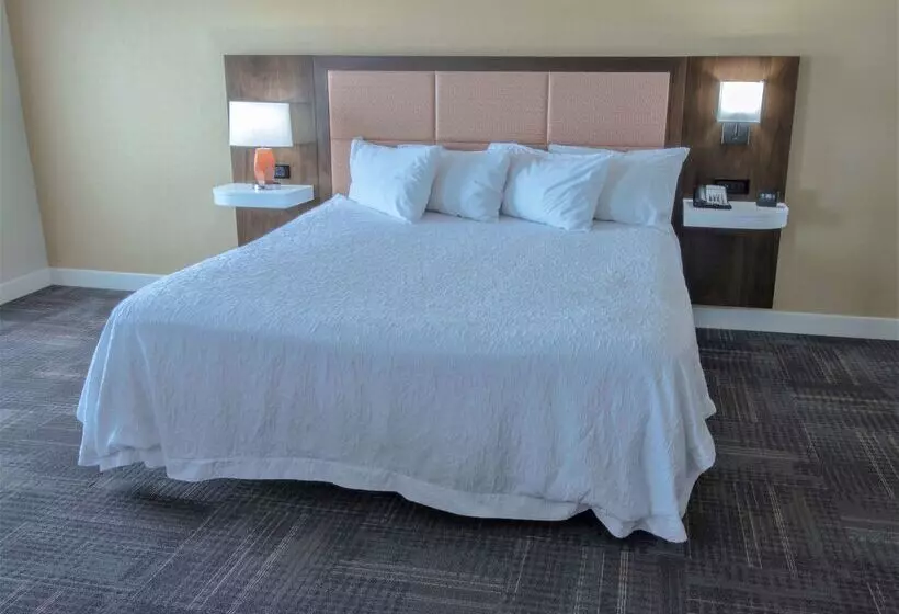 Hôtel Hampton Inn & Suites Chesapeake Battlefield Blvd