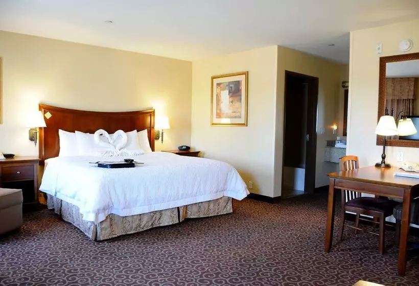 Отель Hampton Inn & Suites Red Bluff