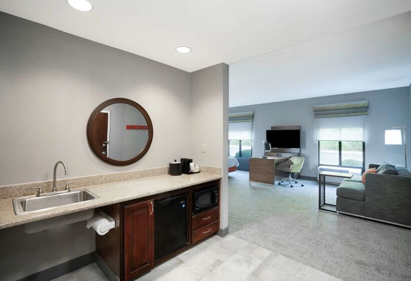 Otel Hampton Inn Suites Opelika I85 Auburn Area