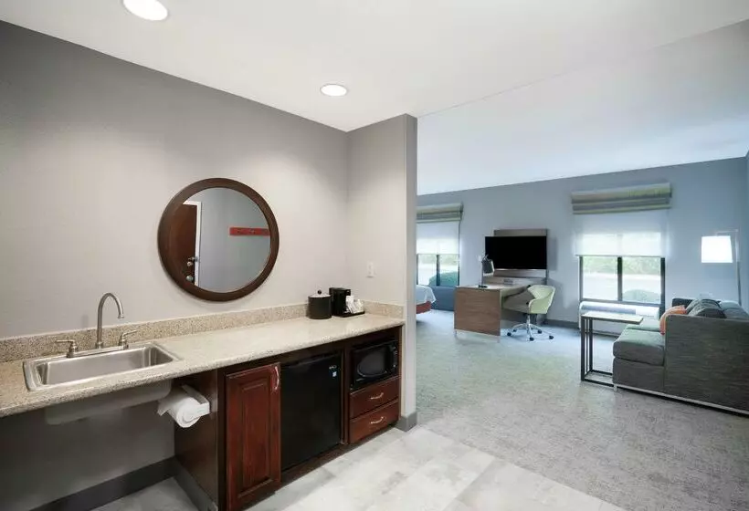 酒店 Hampton Inn Suites Opelika I85 Auburn Area