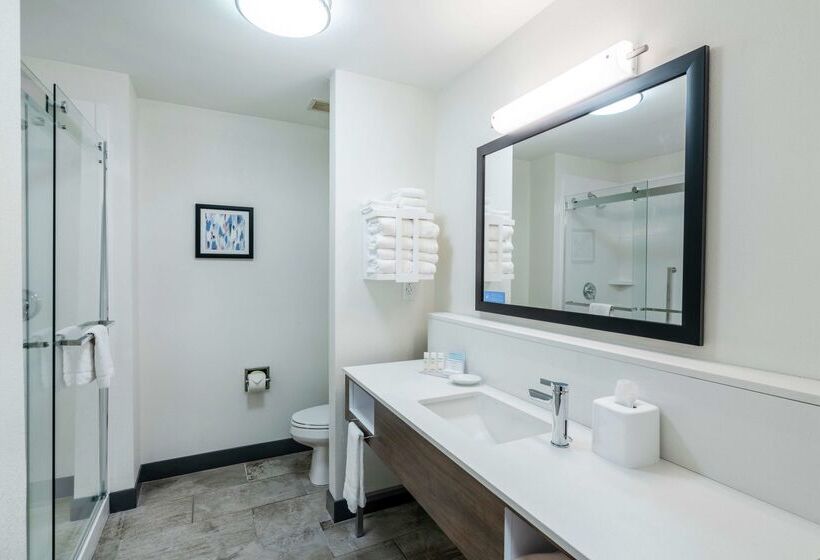 Otel Hampton Inn Suites Opelika I85 Auburn Area