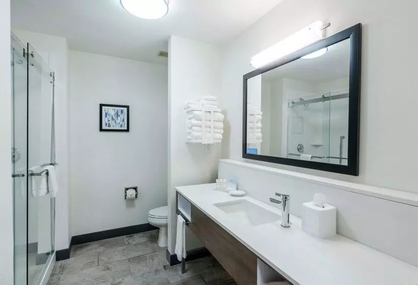 酒店 Hampton Inn Suites Opelika I85 Auburn Area