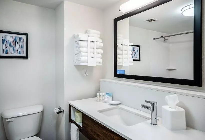 酒店 Hampton Inn Suites Opelika I85 Auburn Area