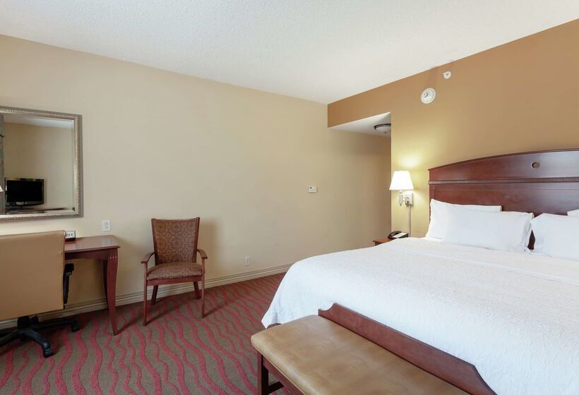 Hotel Hampton Inn & Suites Port Richey
