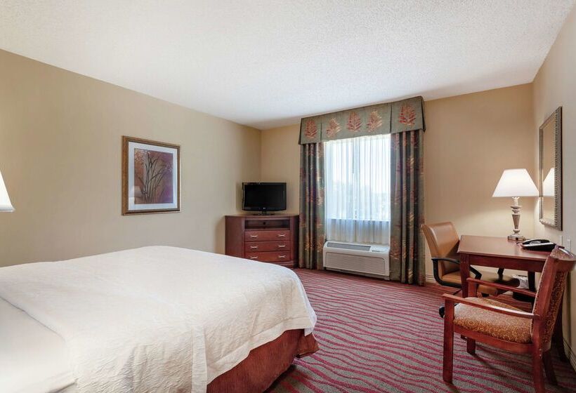 Hotel Hampton Inn & Suites Port Richey