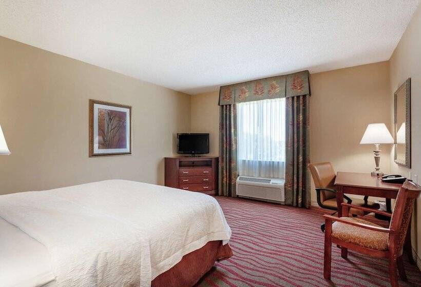 Hotel Hampton Inn & Suites Port Richey