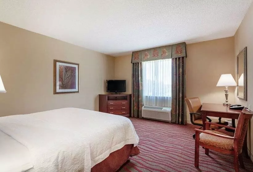 호텔 Hampton Inn & Suites Port Richey