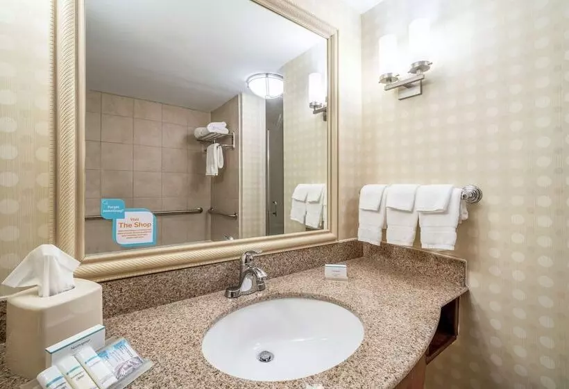 호텔 Hilton Garden Inn Morgantown