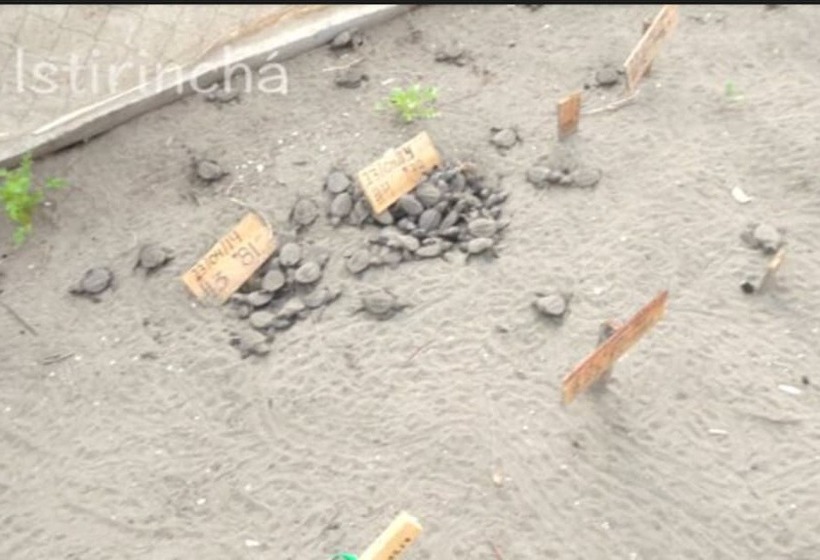 فندق Istirinchá