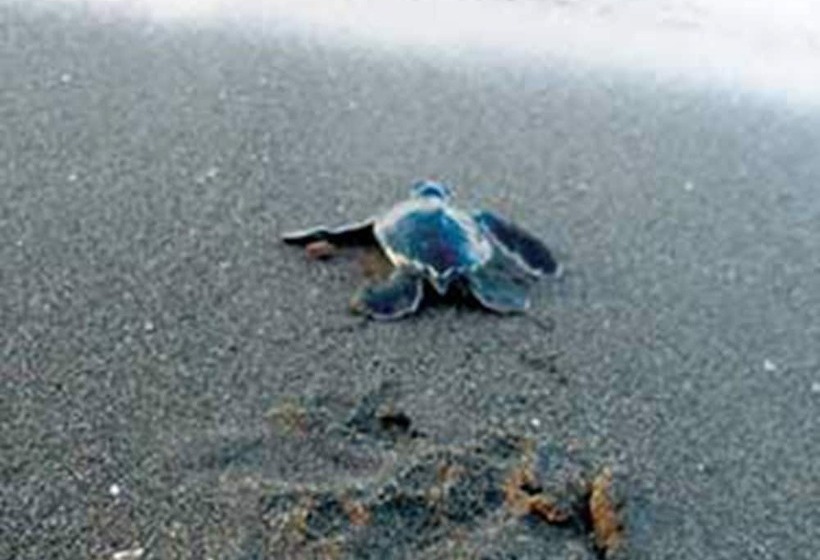 فندق Istirinchá