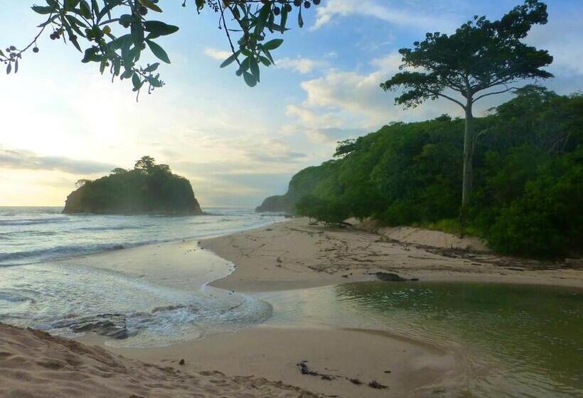 فندق Boutique Lagarta Lodge