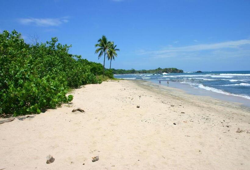 فندق Boutique Lagarta Lodge