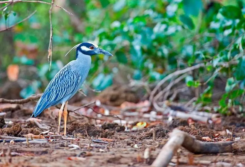 בית מלון כפרי Boutique Lagarta Lodge