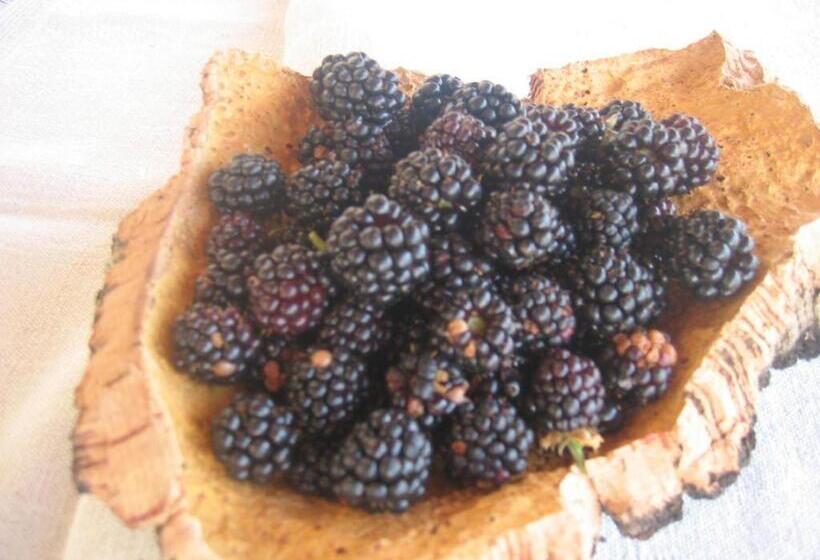 ホテル Outeiro Da Vila   Casas De Campo