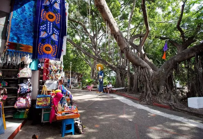 Suites Plaza Del Rio Family Hotel Malecón Centro