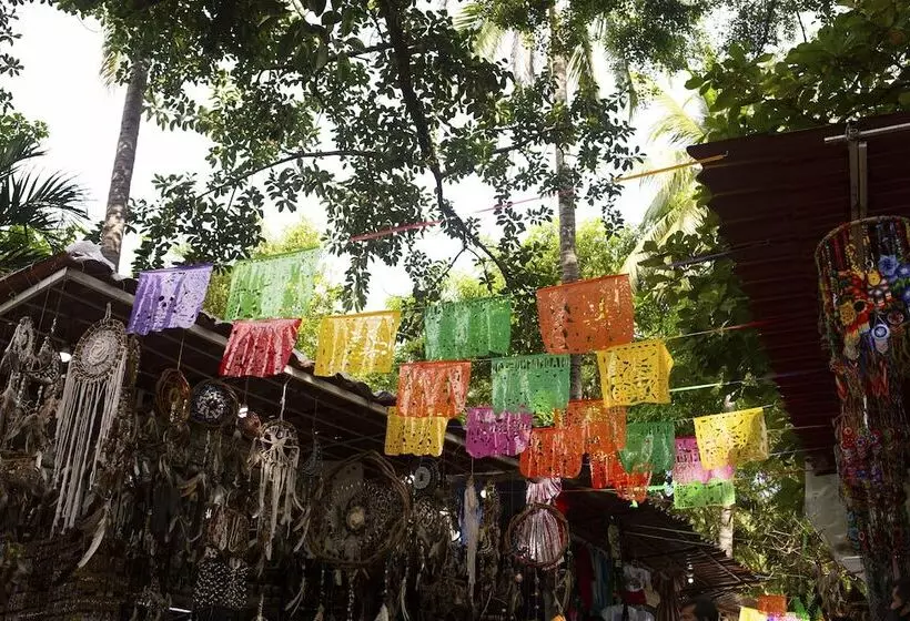 Suites Plaza Del Rio Family Hotel Malecón Centro