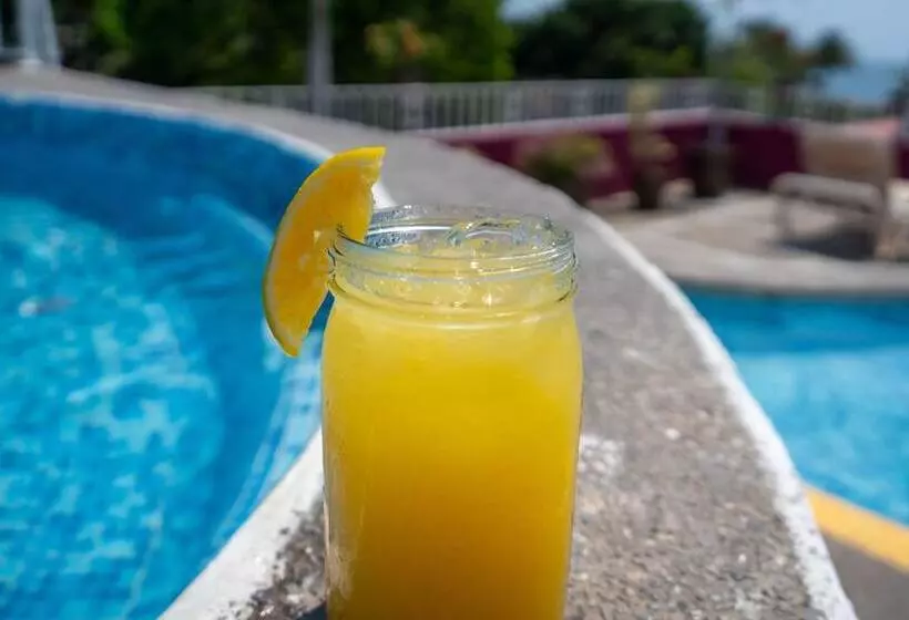 Suites Plaza Del Rio Family Hotel Malecón Centro