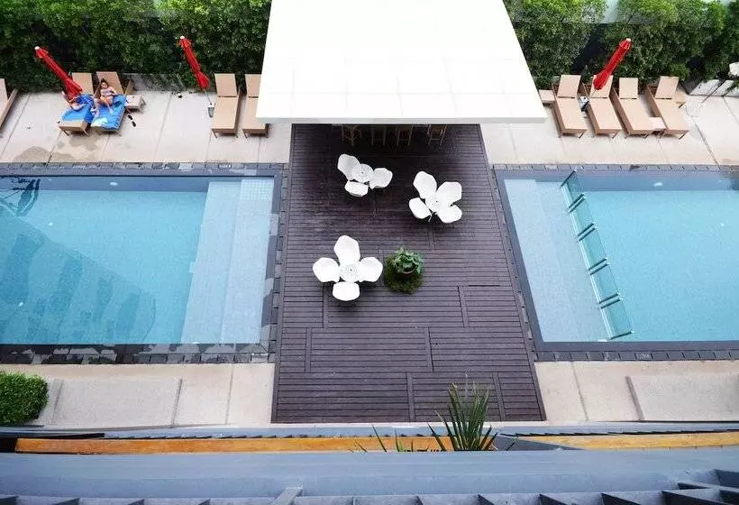 Hotel The Lantern Resorts Patong   Sha Extra Plus