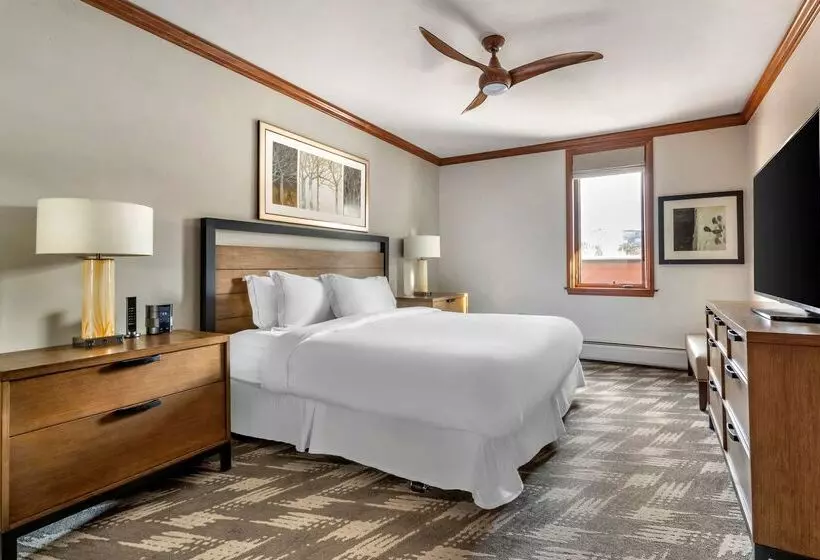 渡假胜地 Mountain Lodge Breckenridge