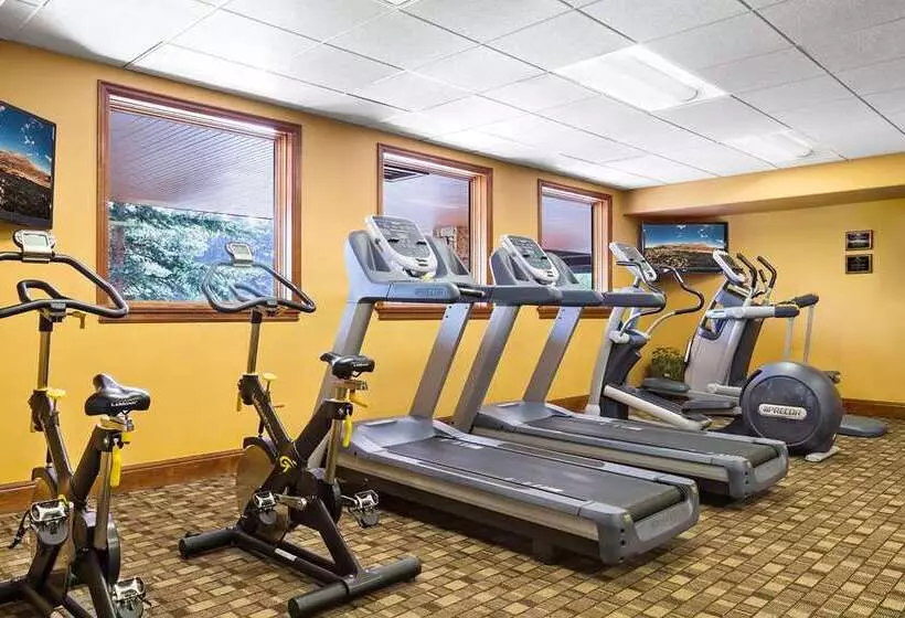 渡假胜地 Mountain Lodge Breckenridge