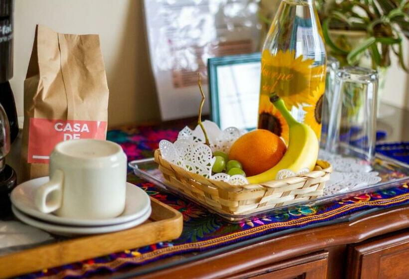 هاستل Casa De Luz