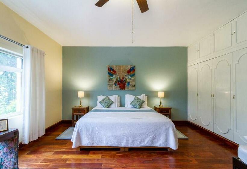 هاستل Casa De Luz