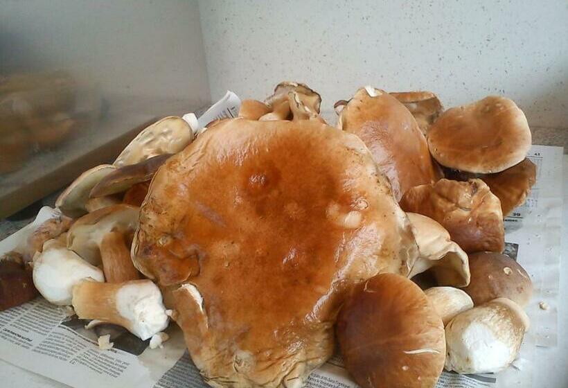 민박 Ferme De Cartignac