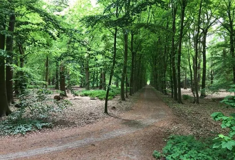 B&b  Het Gripshuis