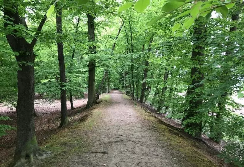 B&b  Het Gripshuis