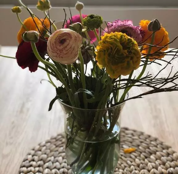 Aamiaismajoitus (B&B) Villa Jakobsbrunnen