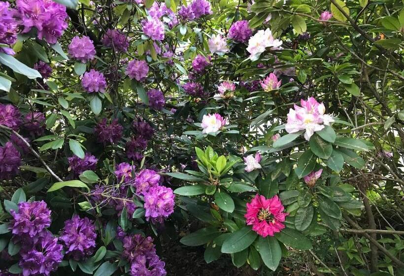 مبيت وإفطار Villa Jakobsbrunnen