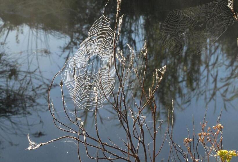 ペンション Doorways