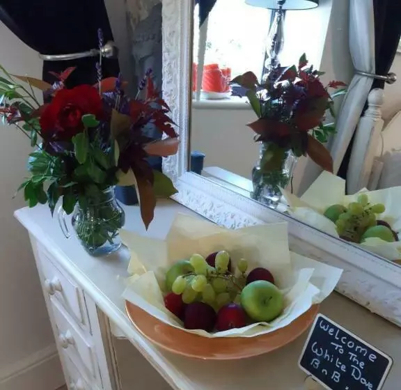 The White Dove Bed And Breakfast With Glamping Newark Showground