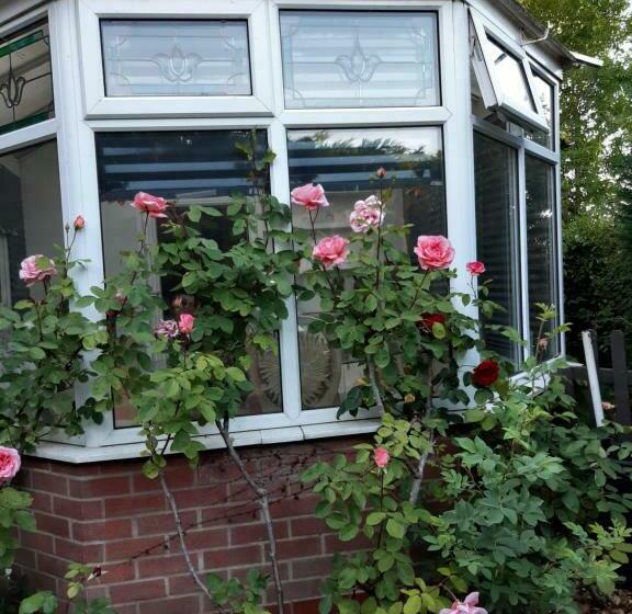 The White Dove Bed And Breakfast With Glamping Newark Showground