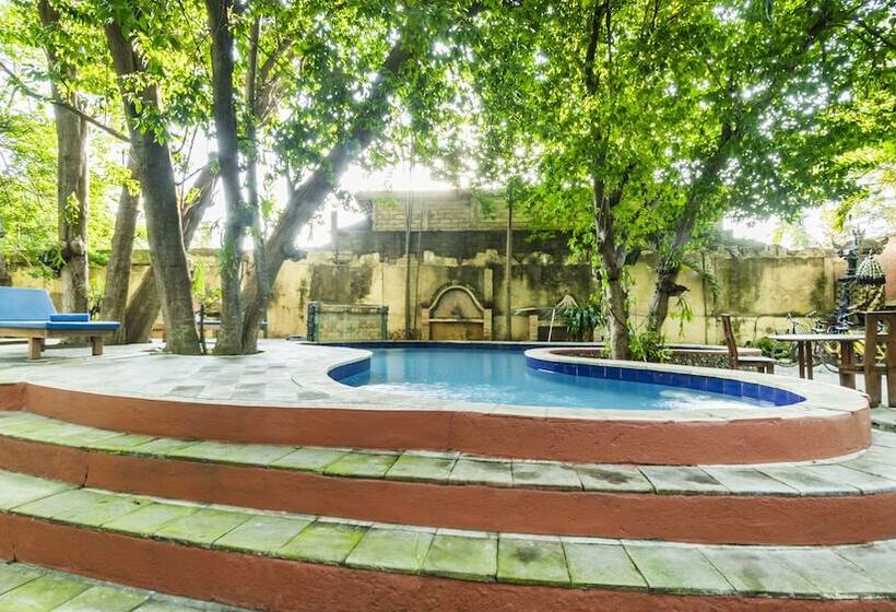 בית מלון כפרי Alam Gili