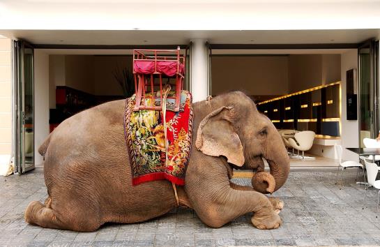 ホテル The Quay Boutique