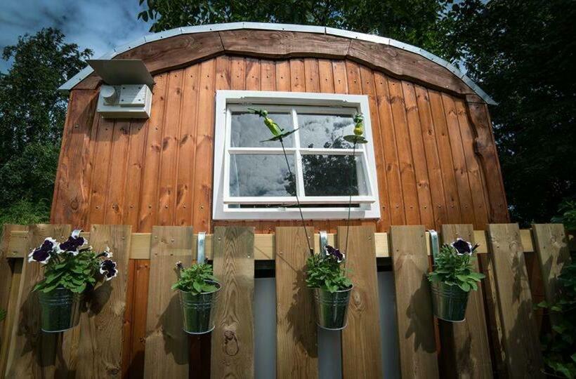 B&b Hetvrijdagsgevoel