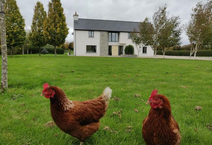 צימר Brona Dempsey