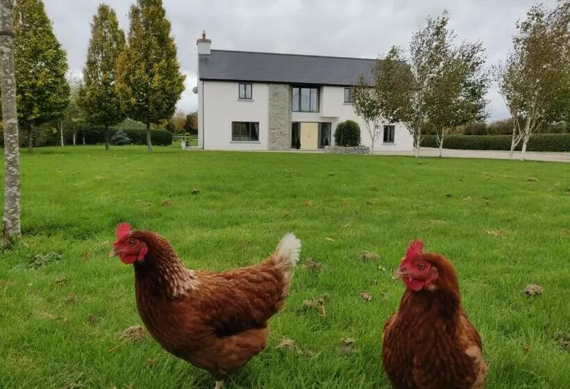 Aamiaismajoitus (B&B) Brona Dempsey