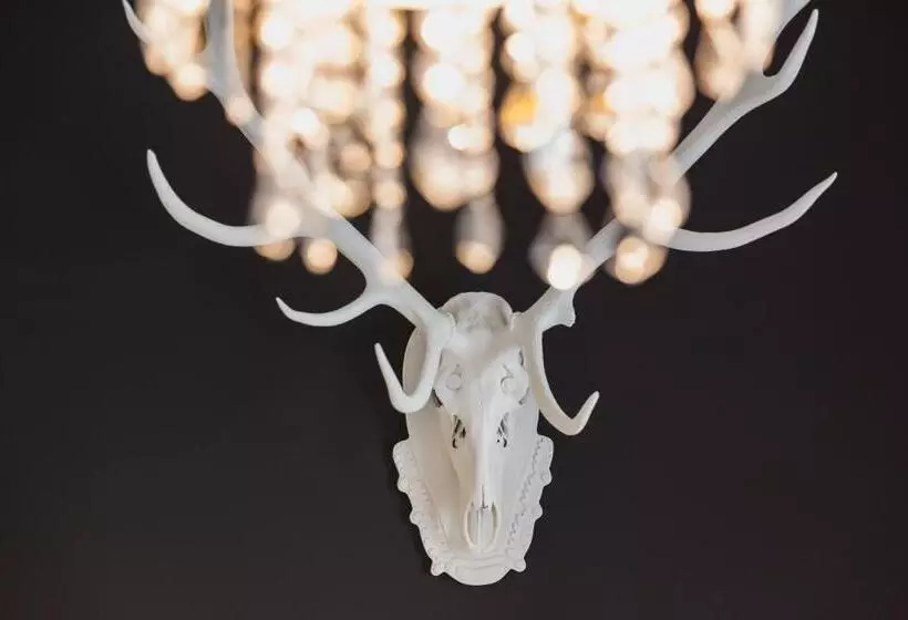 ベッドアンドブレックファースト Dunna